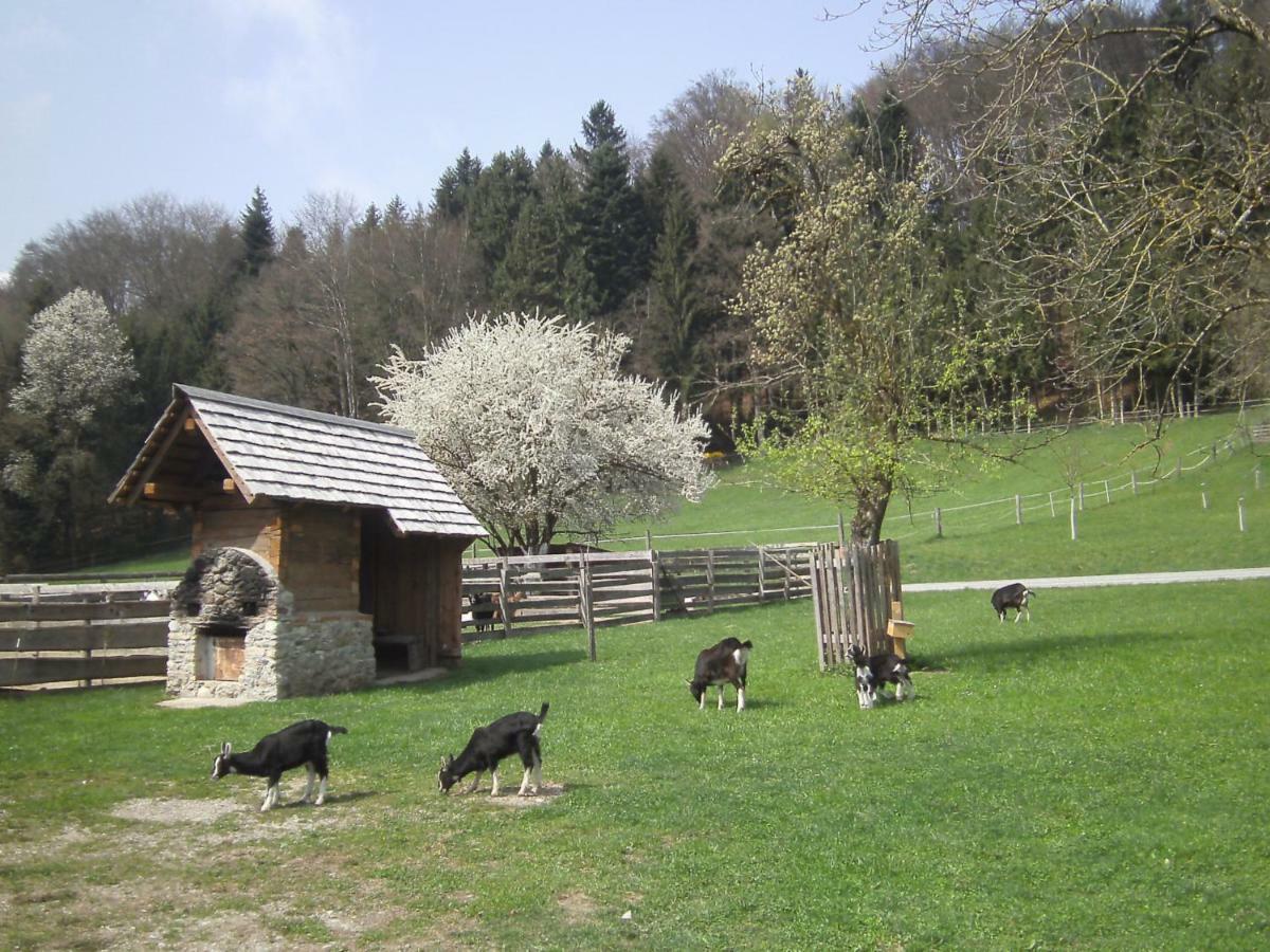 Bauernhof Kaspergut Villa Kirchberg bei Mattighofen Kültér fotó